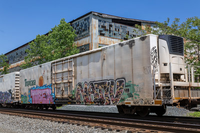 TPIX 3005