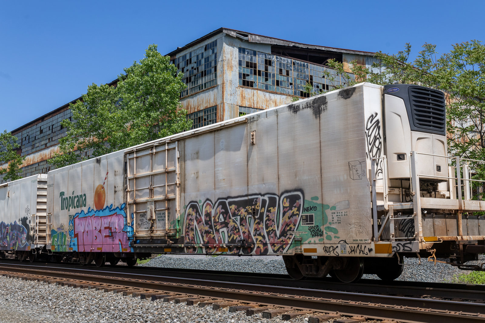 TPIX 3005