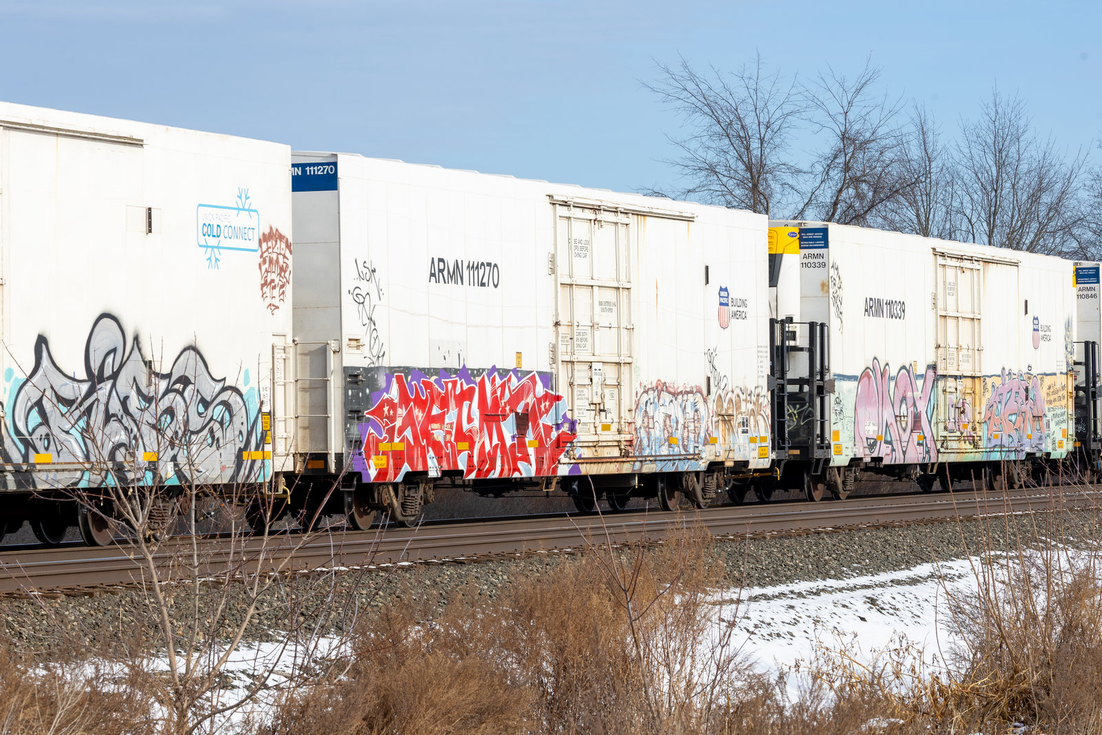 ARMN 111270