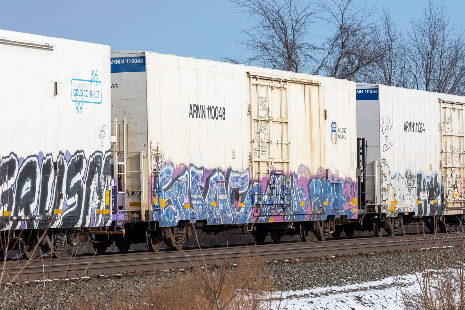 ARMN 110048