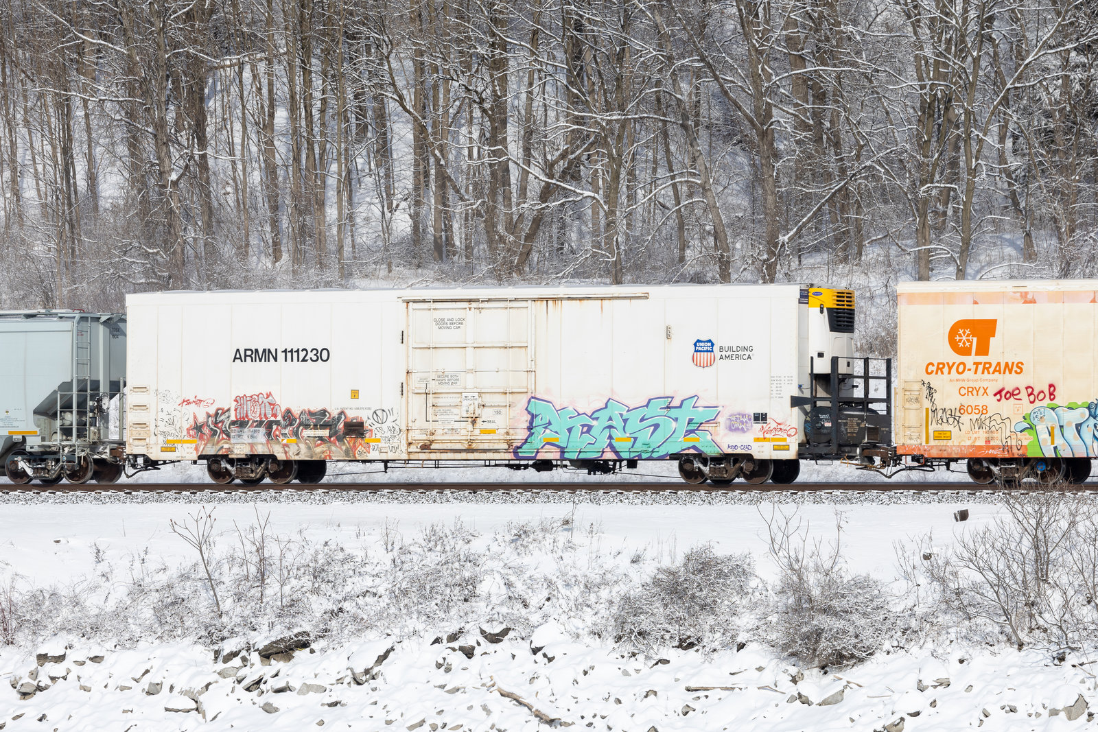 ARMN 111230