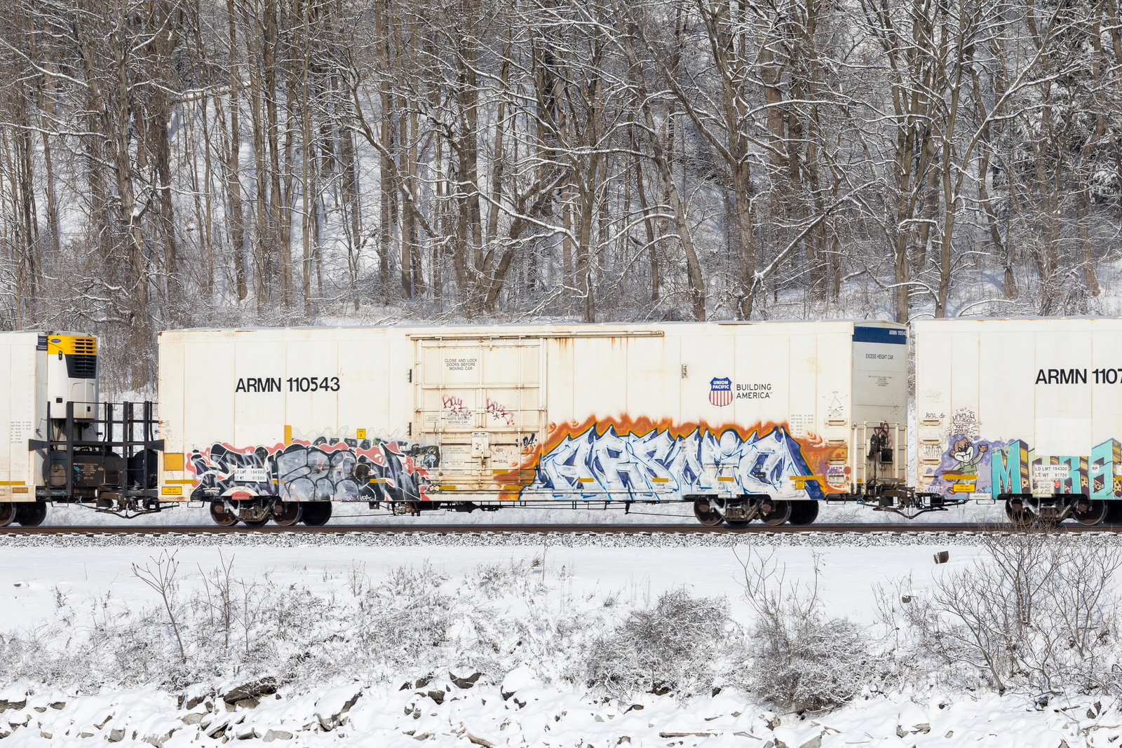 ARMN 110543