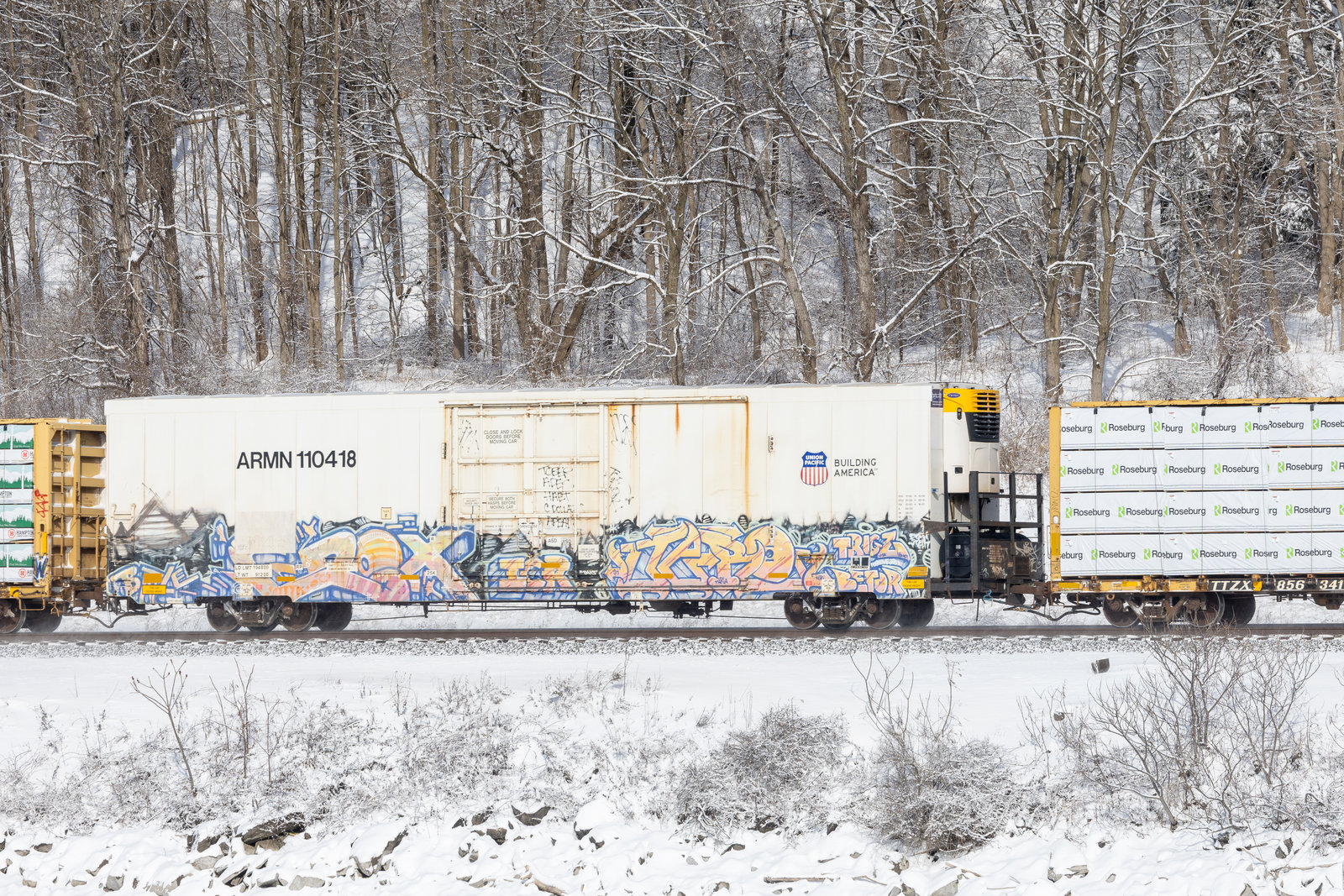 ARMN 110418