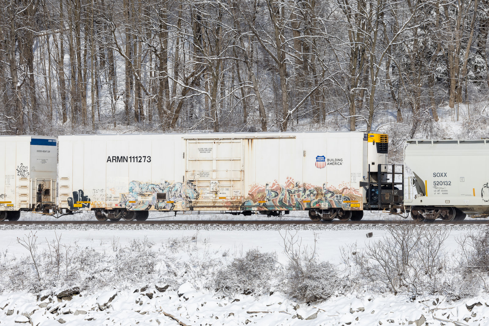 ARMN 111273