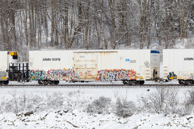 ARMN 110978