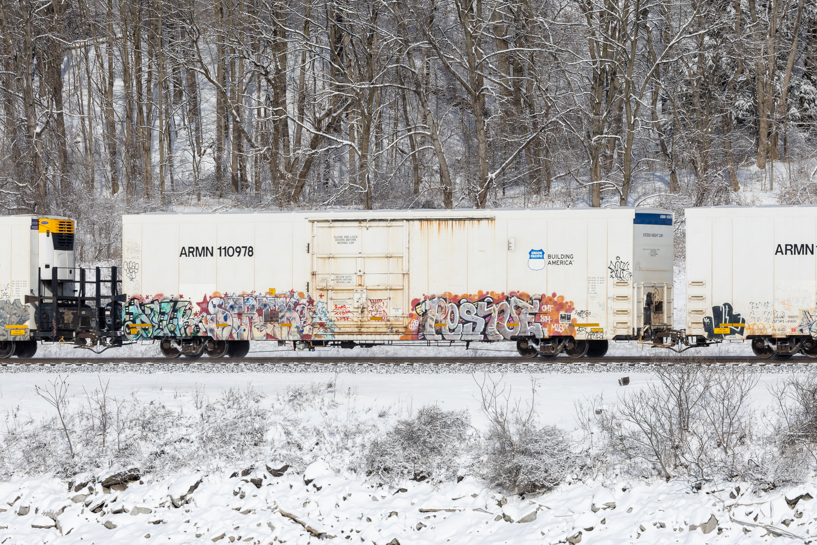 ARMN 110978