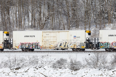 ARMN 110278