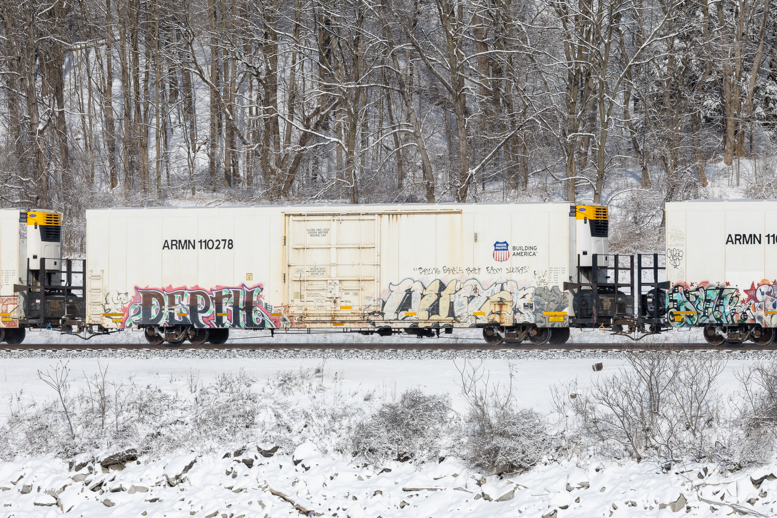 ARMN 110278