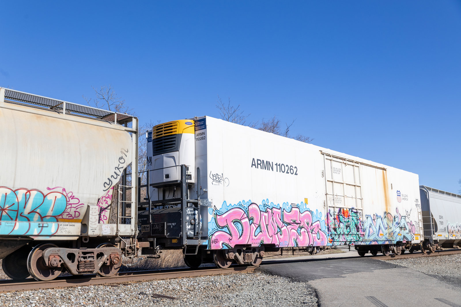 ARMN 110262