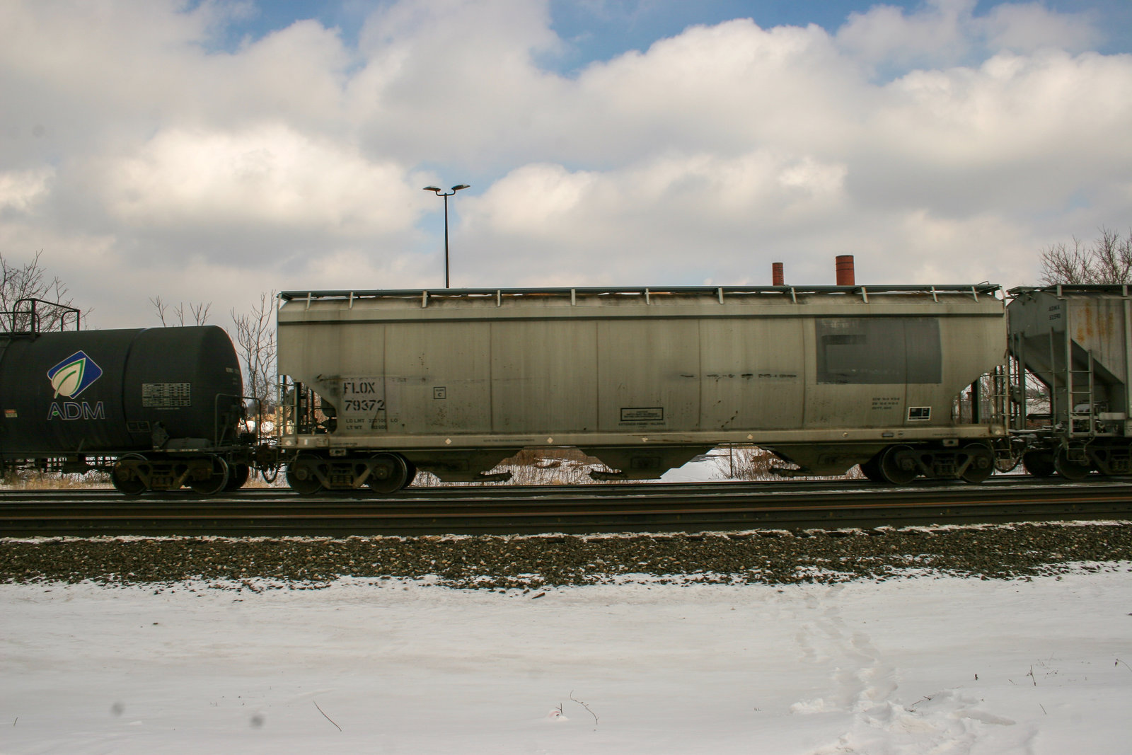 FLOX 79372