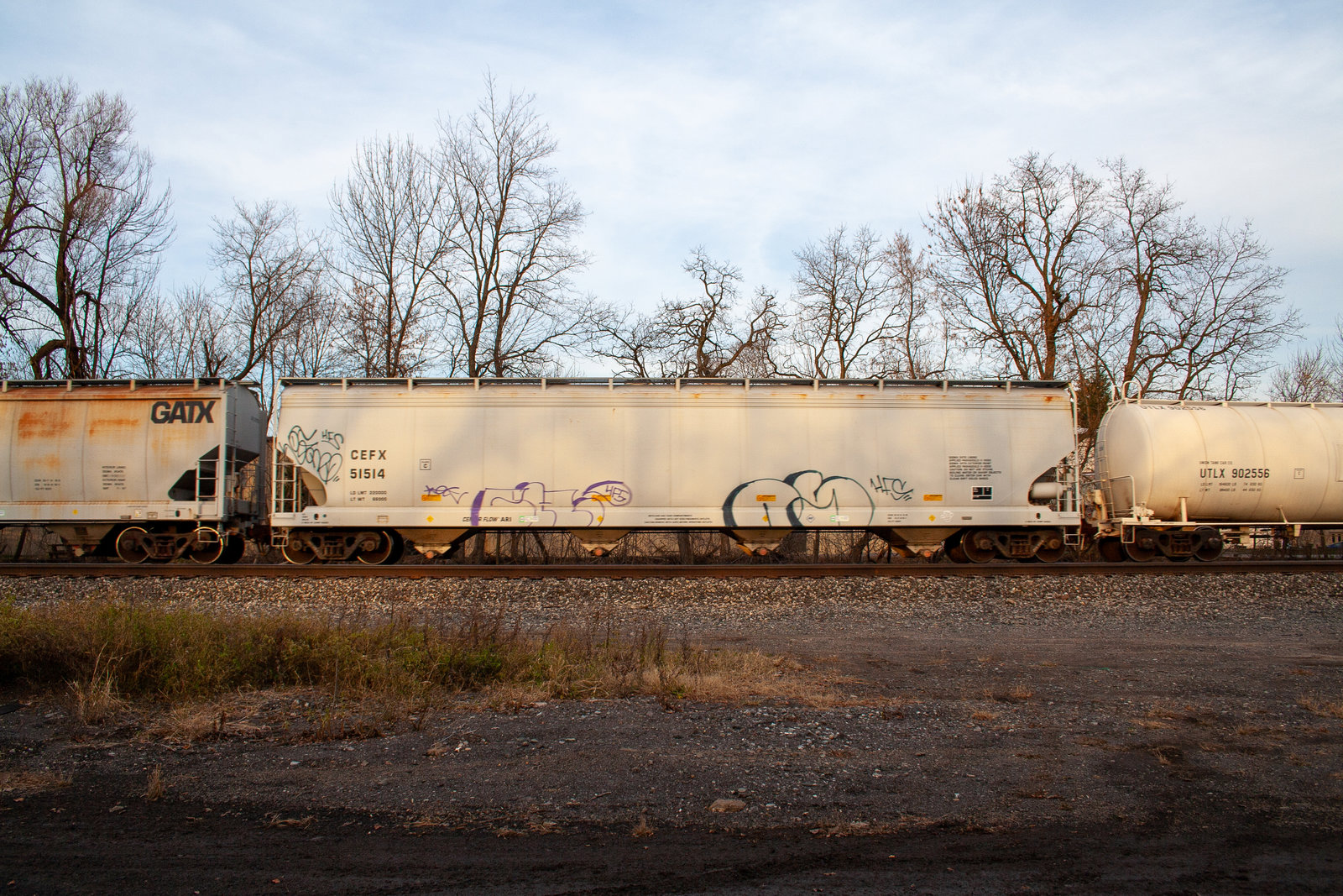 CEFX 51514