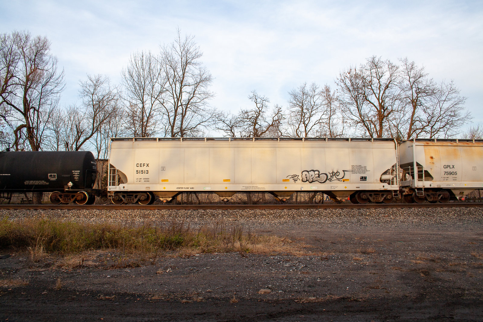 CEFX 51513