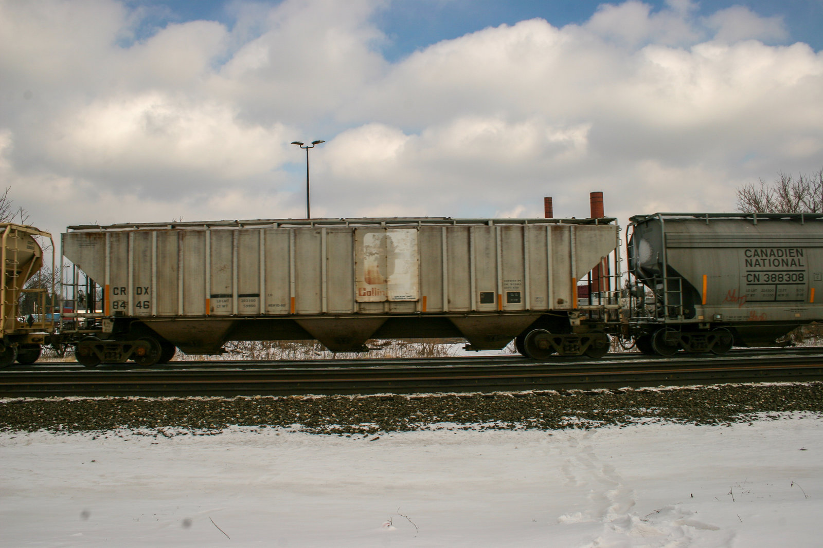 CRDX 8446