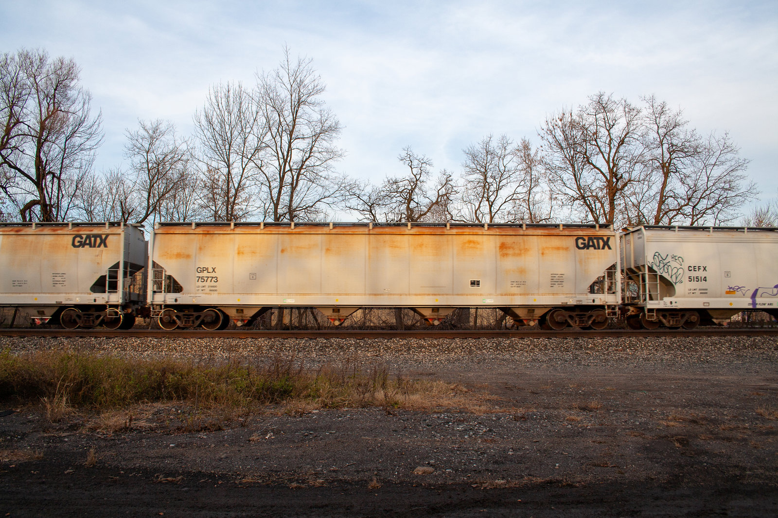 GPLX 75773