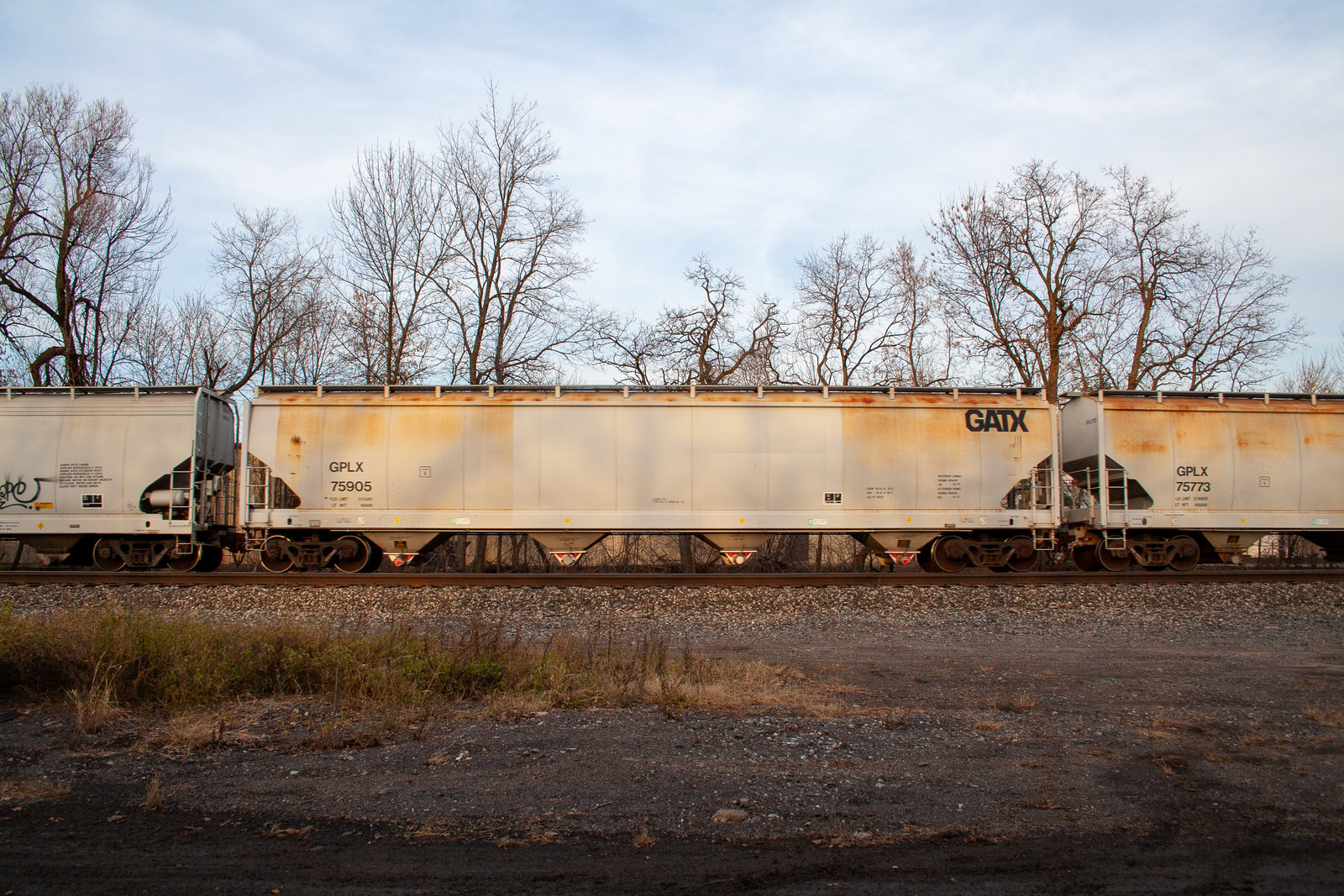 GPLX 75905