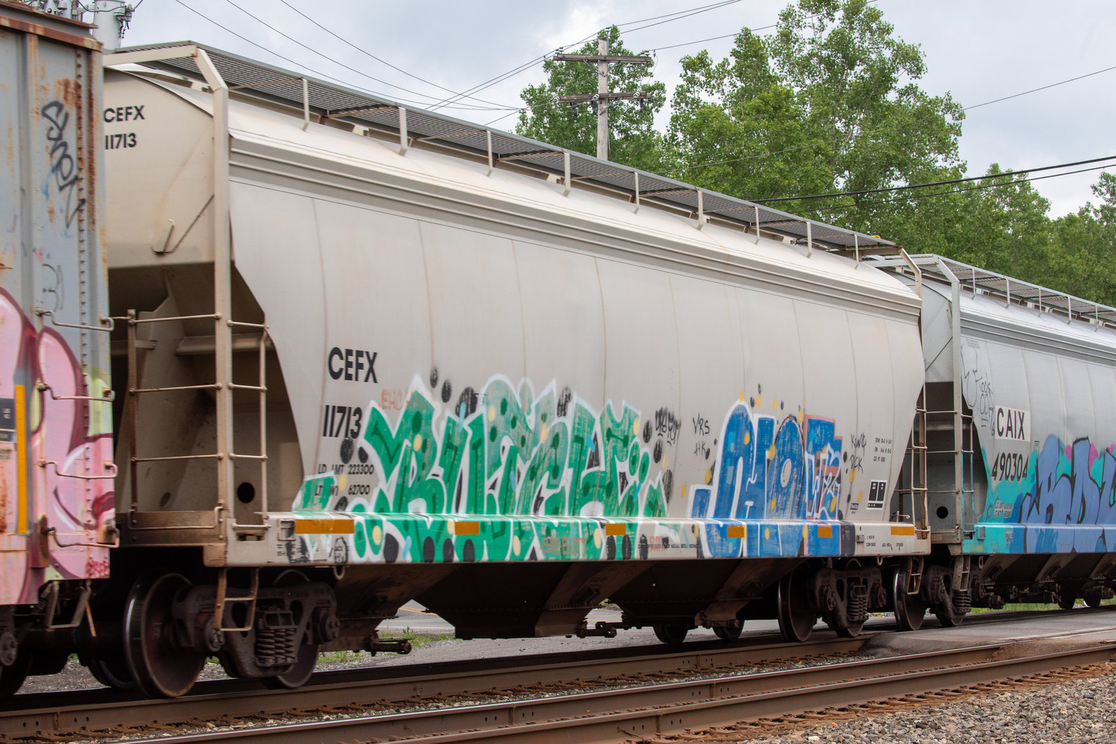 CEFX 11713