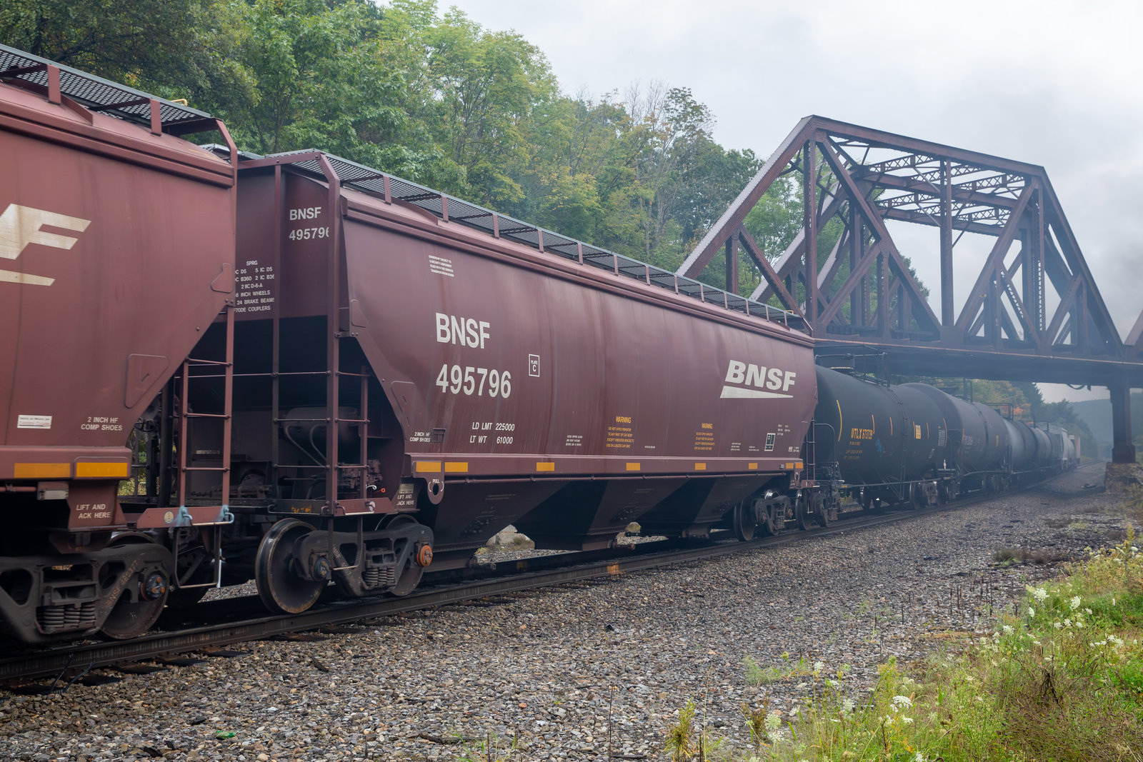 BNSF 495796