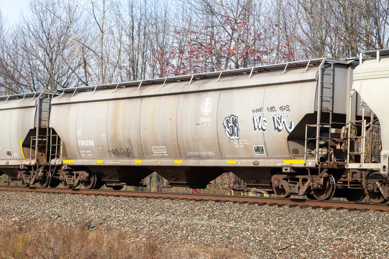 IC 799298