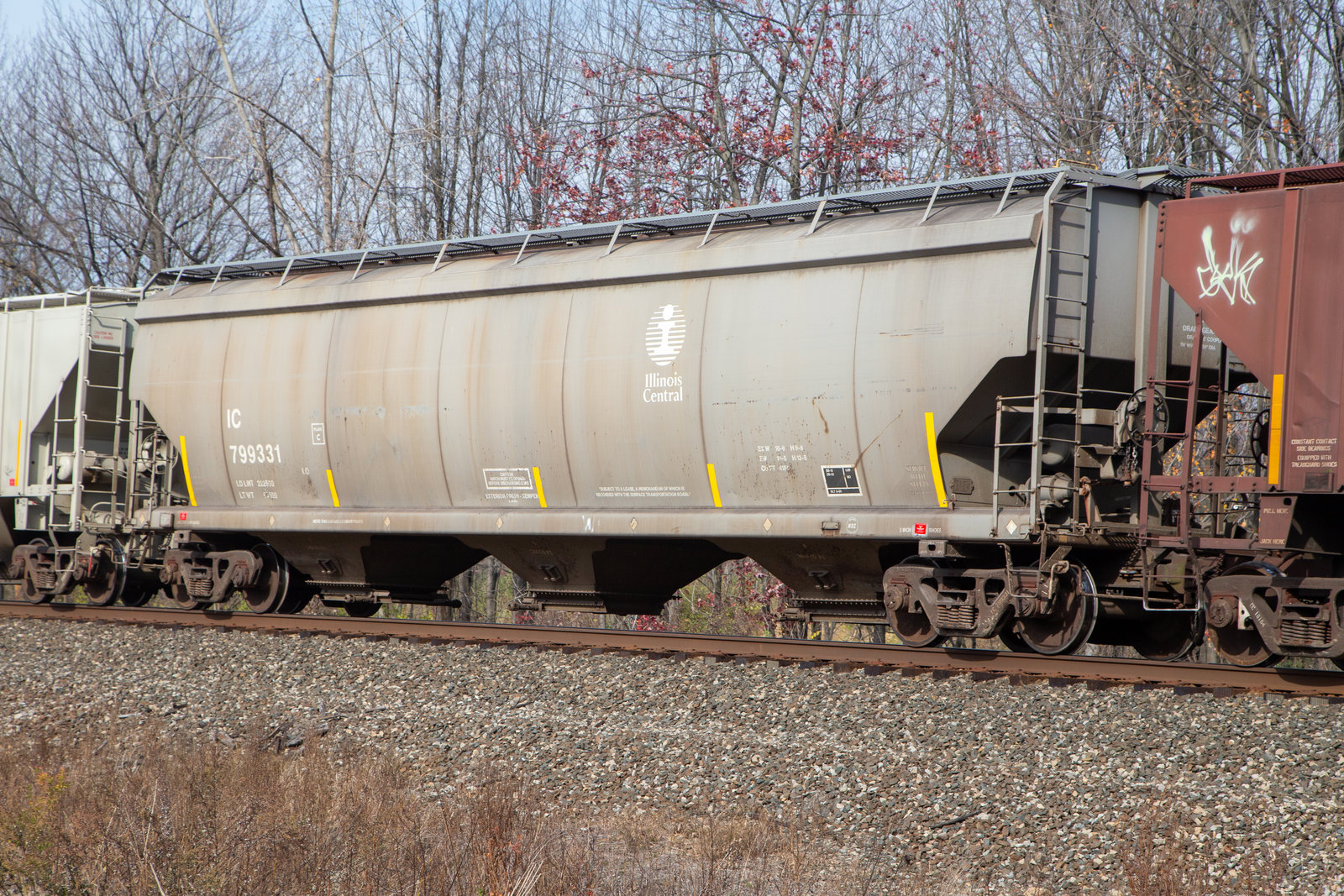 IC 799331