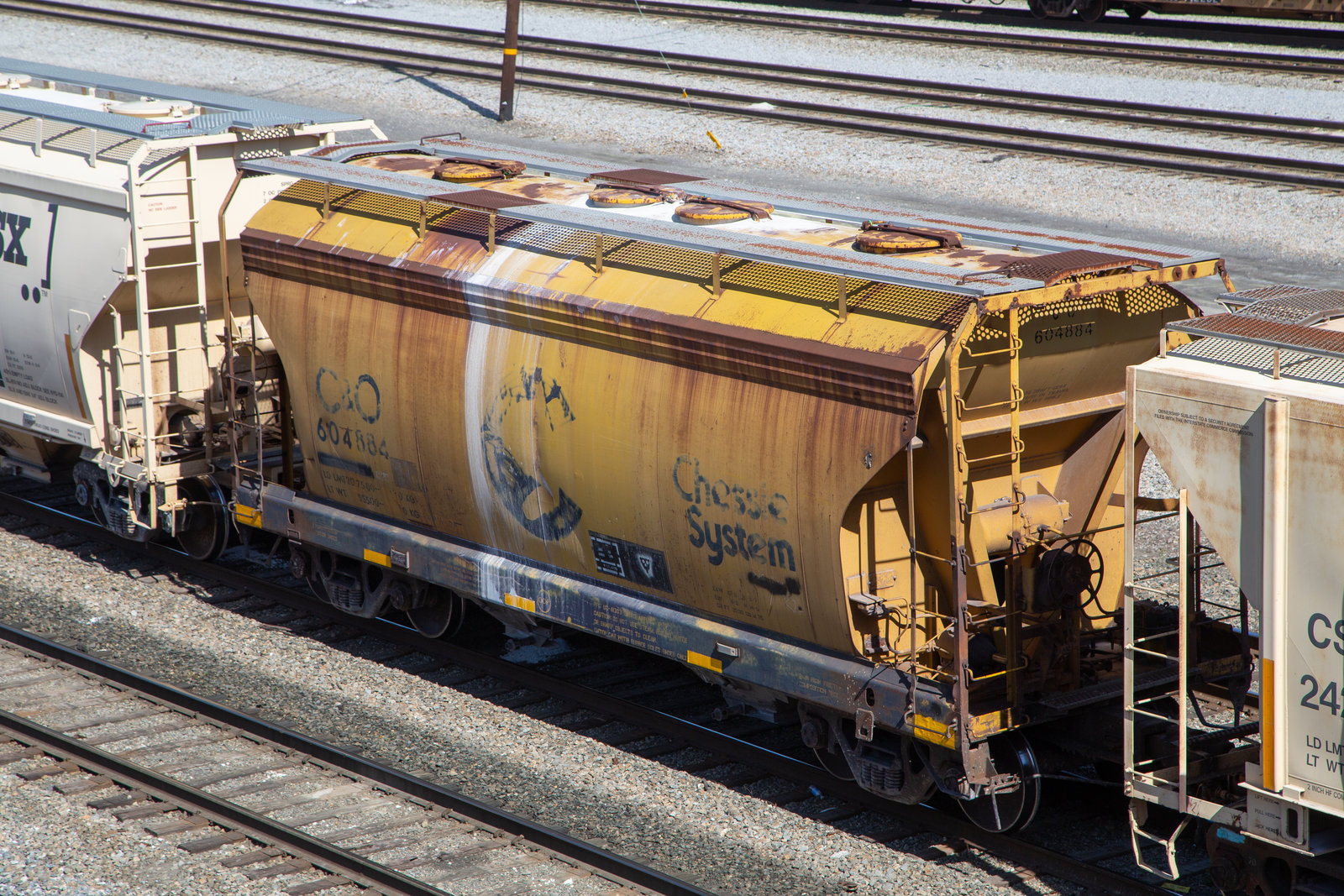 CO 604884