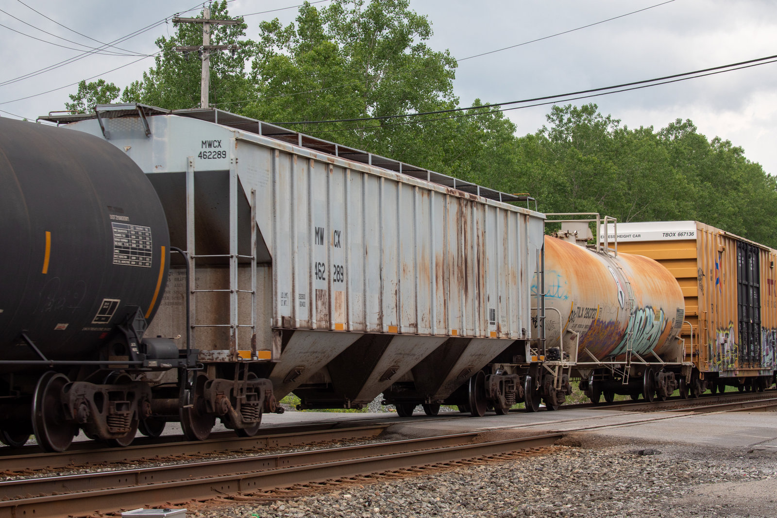 MWCX 462289