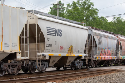NS 236166