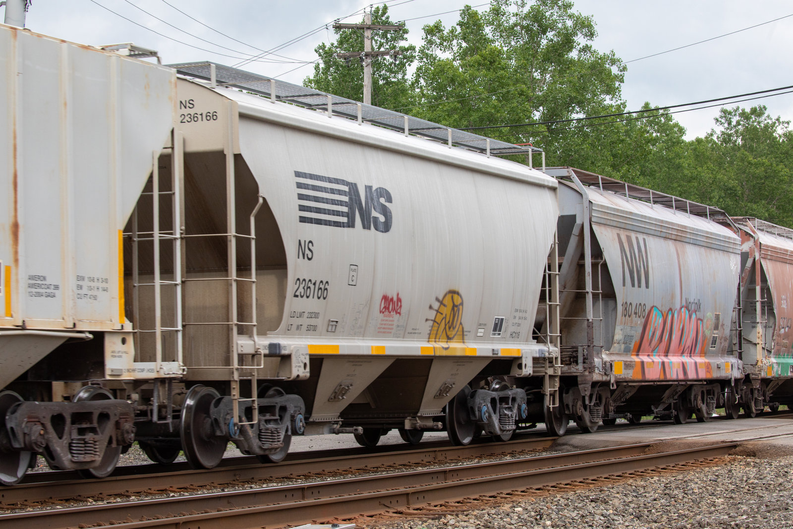 NS 236166