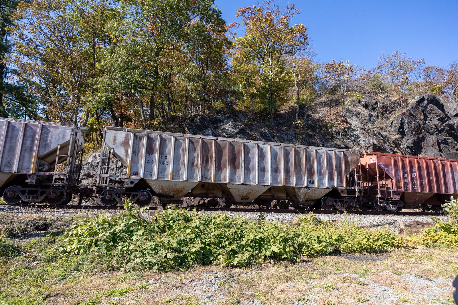ITLX 40146