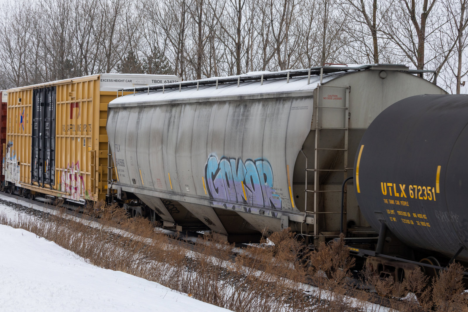 TILX 540568