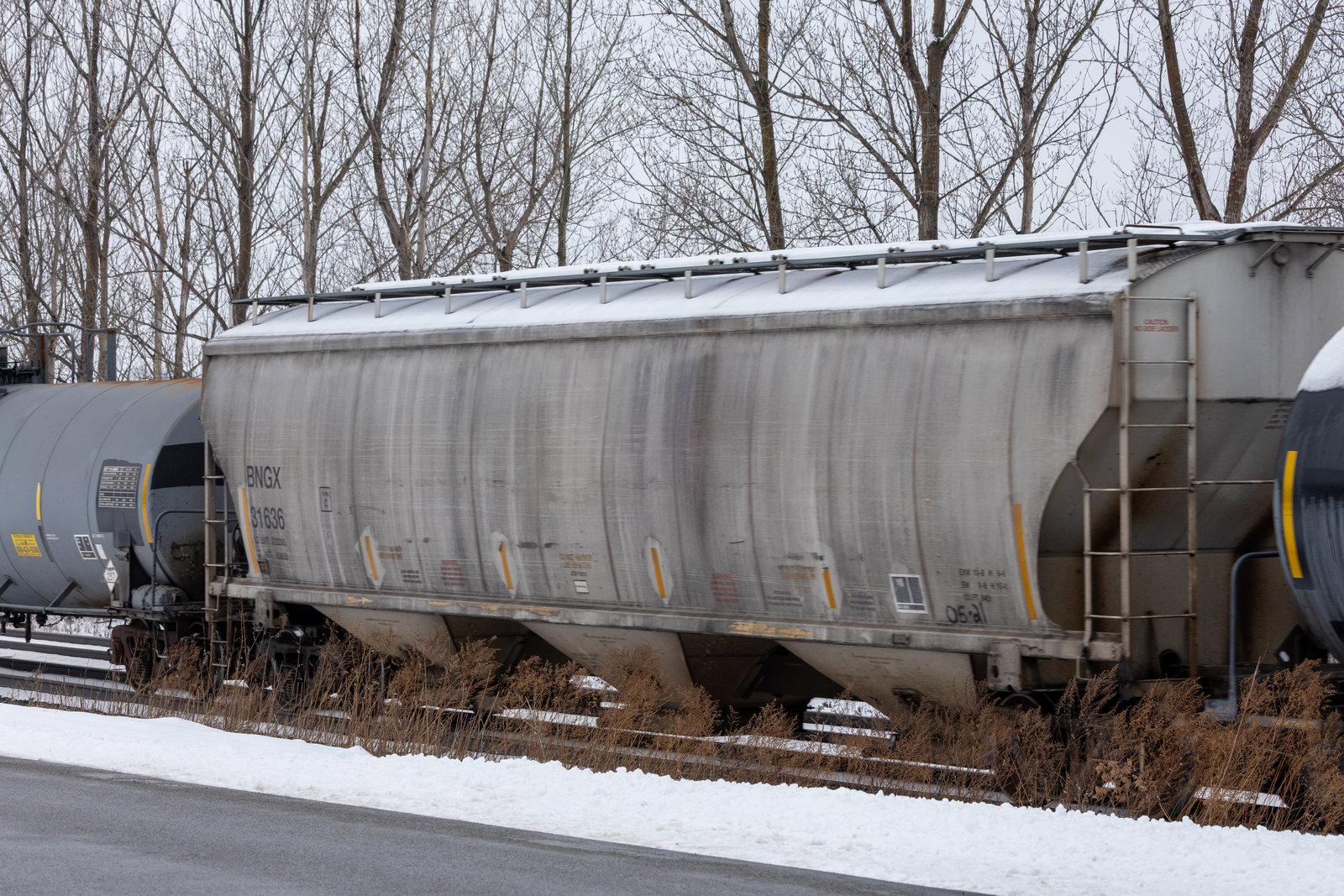 BNGX 31636