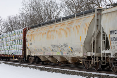 TILX 56175