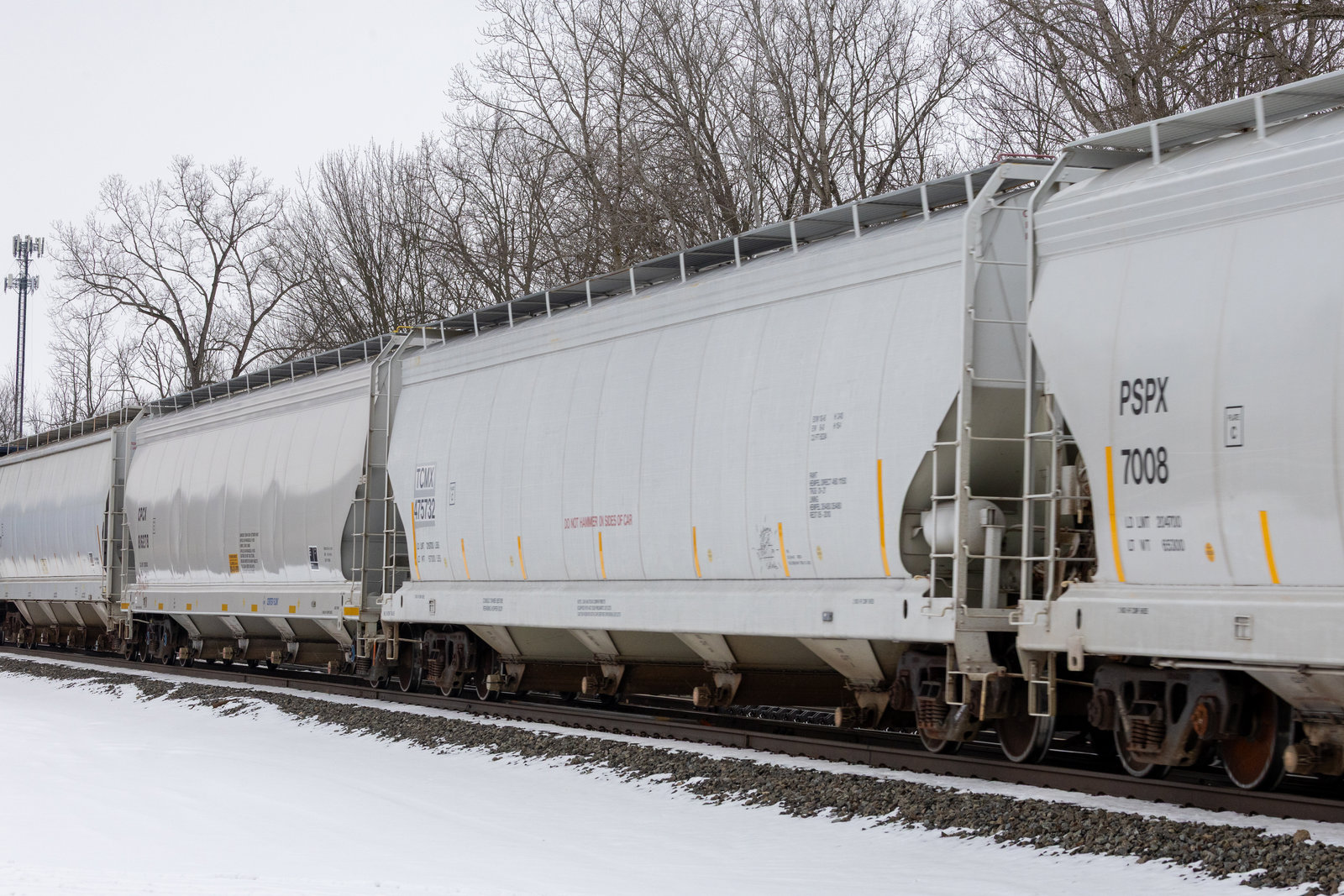 TCMX 475732