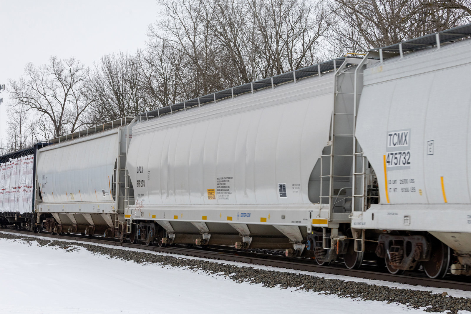 CPCX 816278