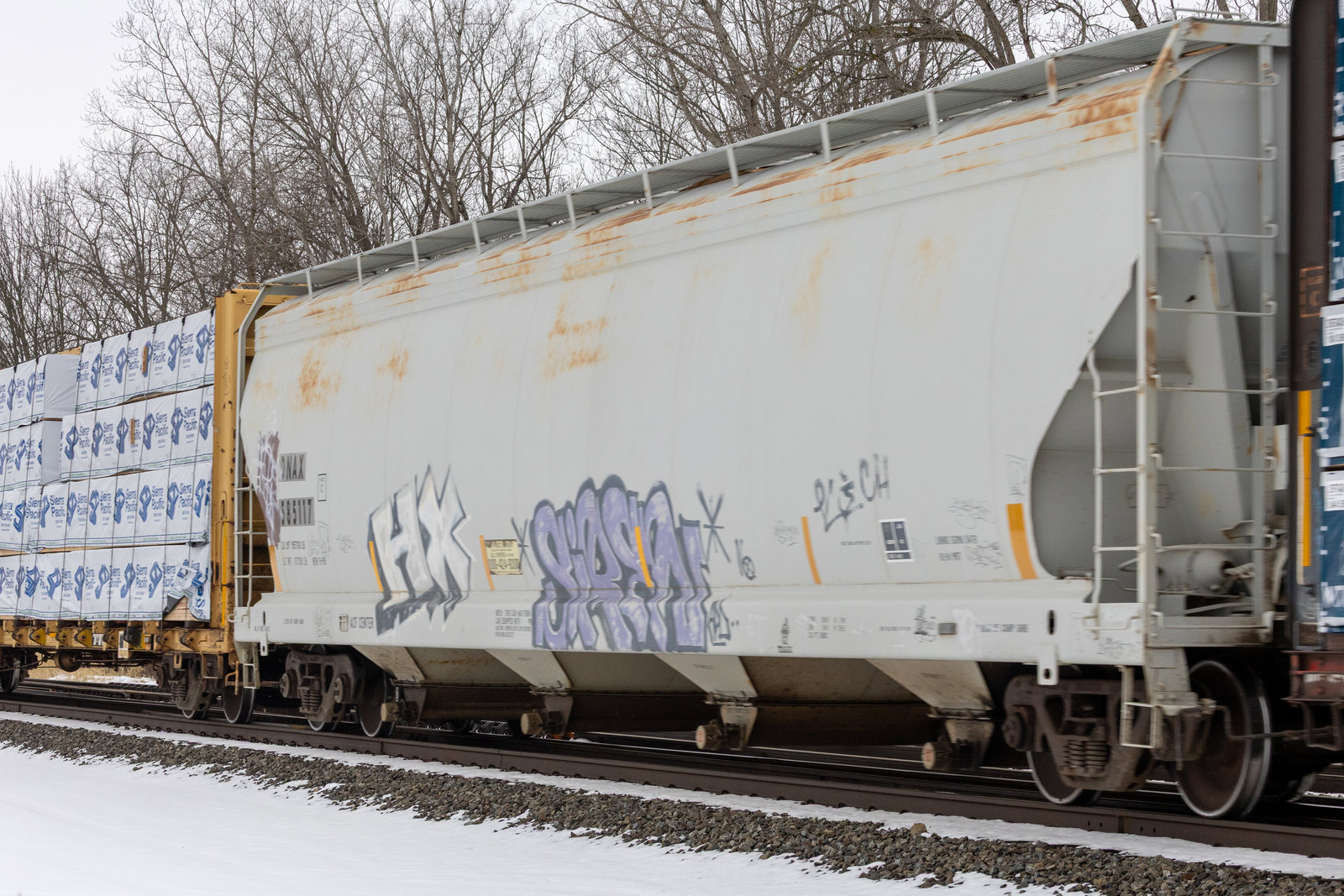 DNAX 585117
