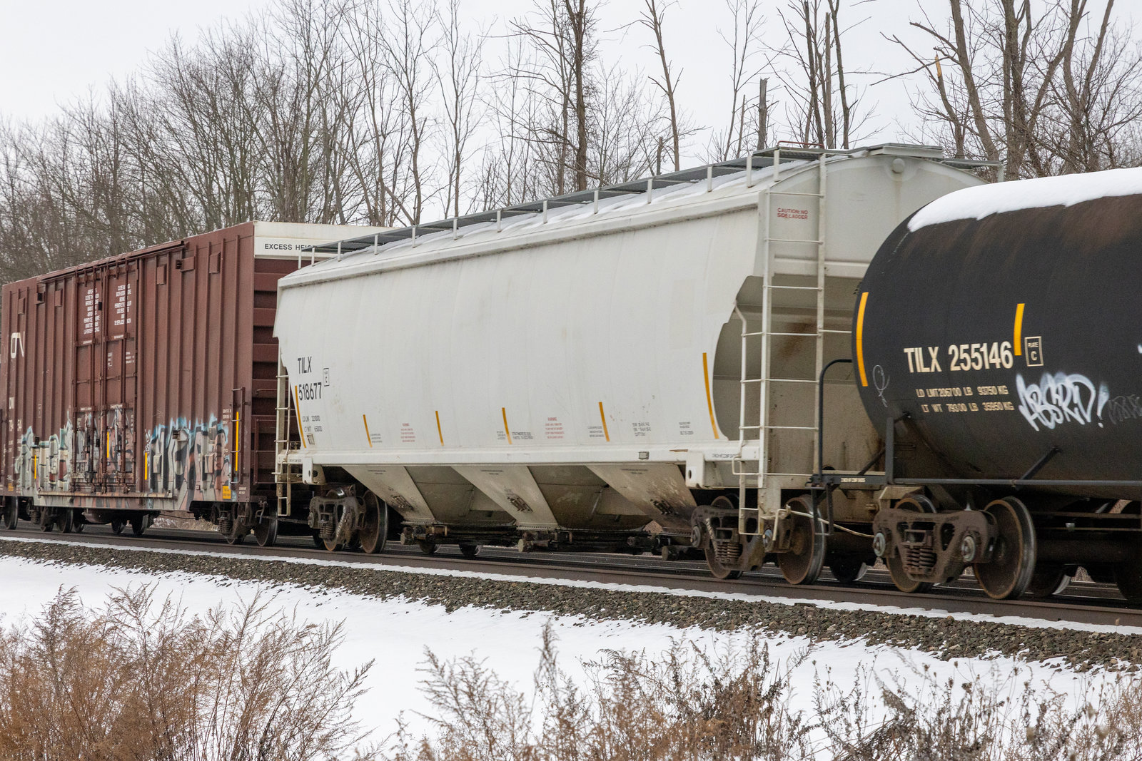 TILX 518677