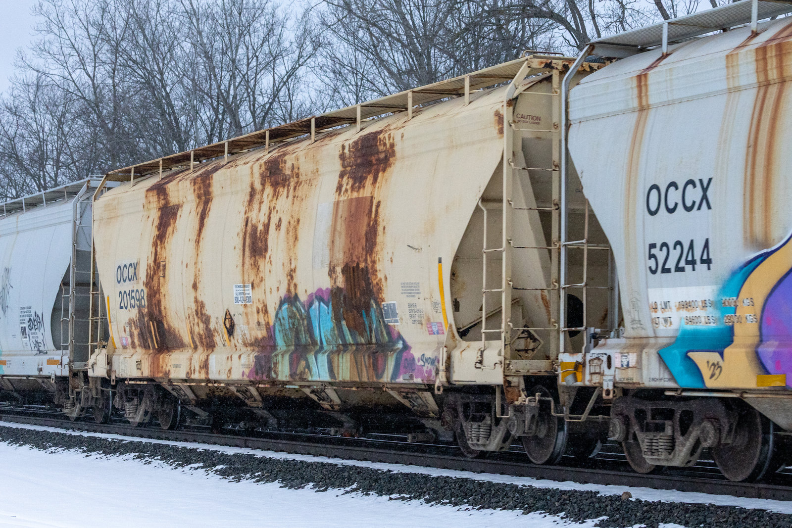 OCCX 201598