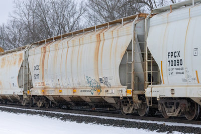 OCCX 52117