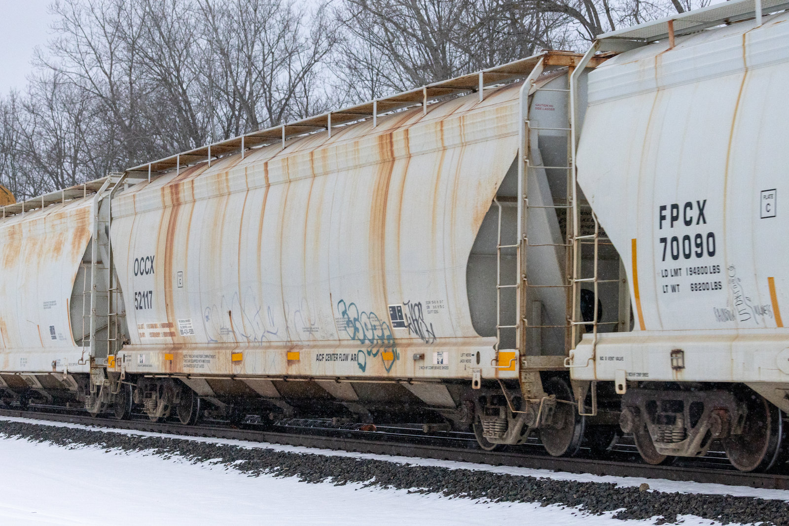 OCCX 52117