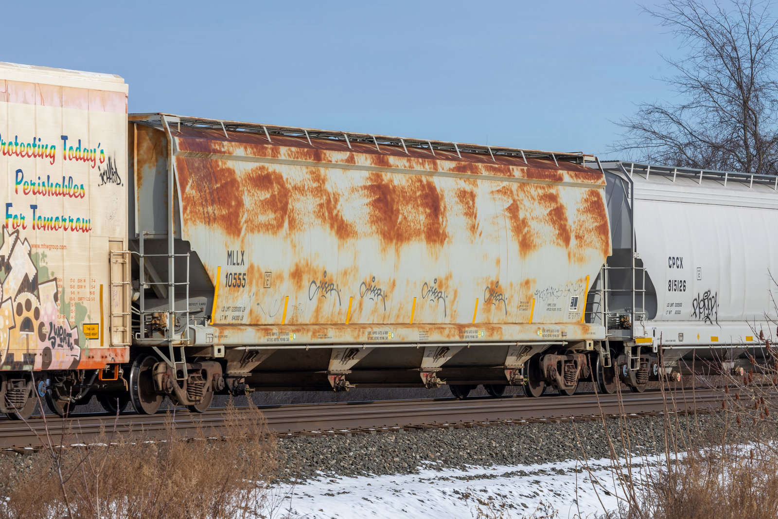 MLLX 10555