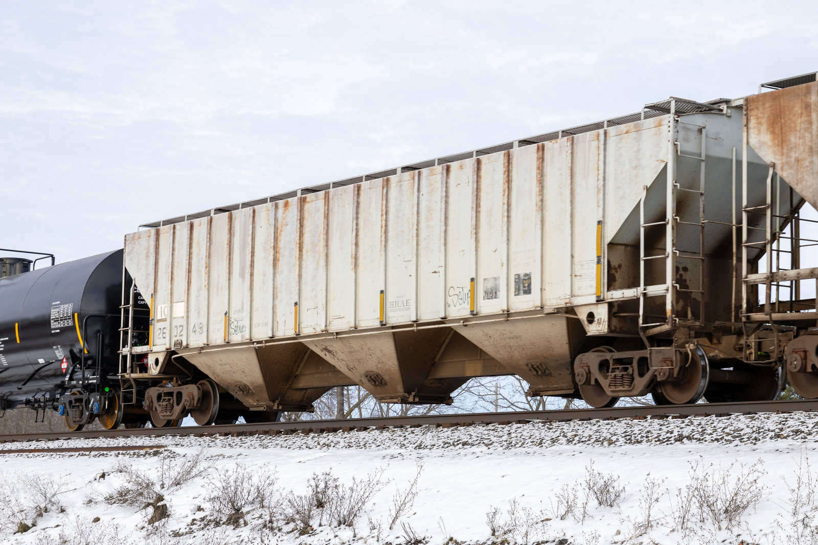 IC260249