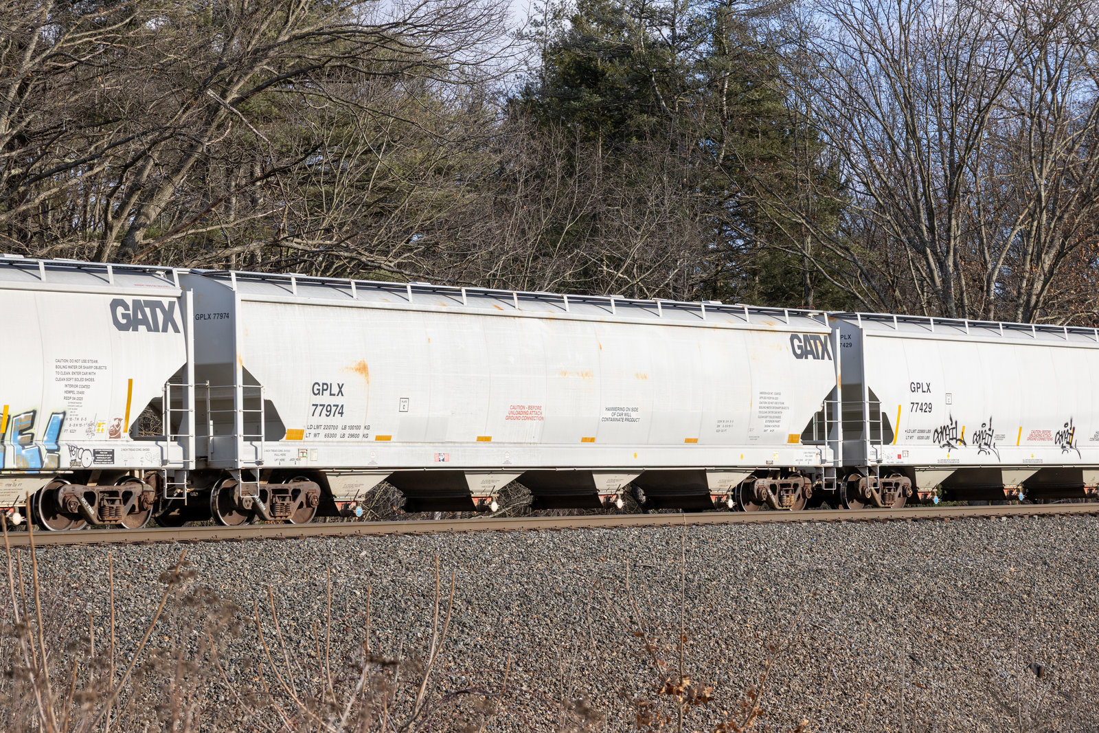 GPLX 77974