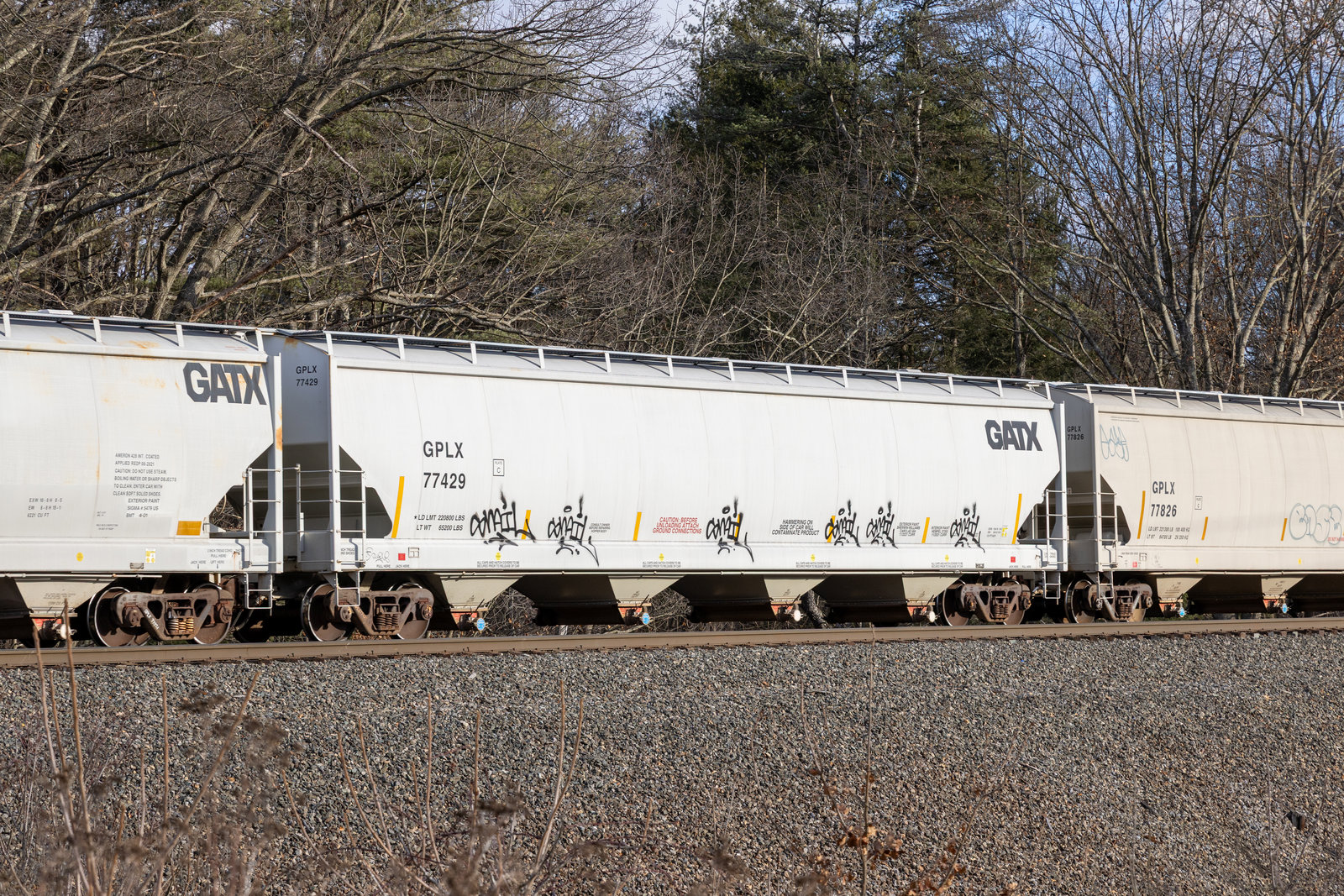 GPLX 77429