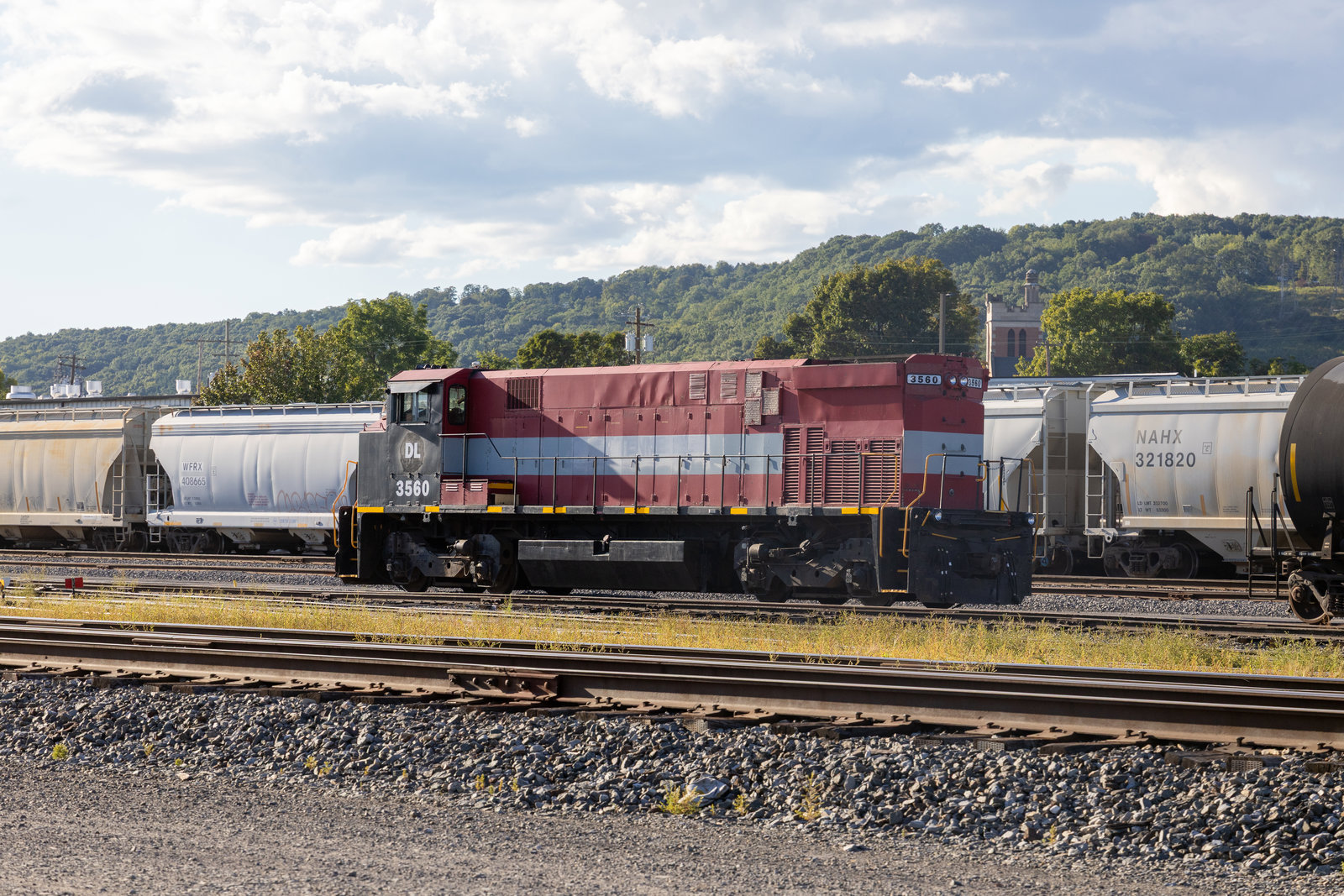 DL 3560