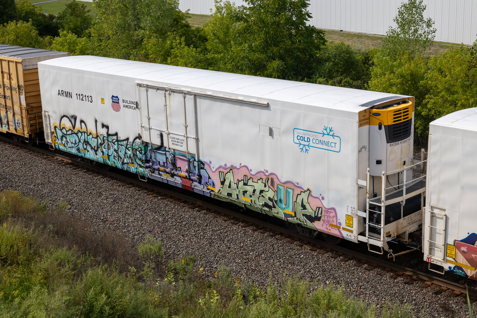 ARMN 112113