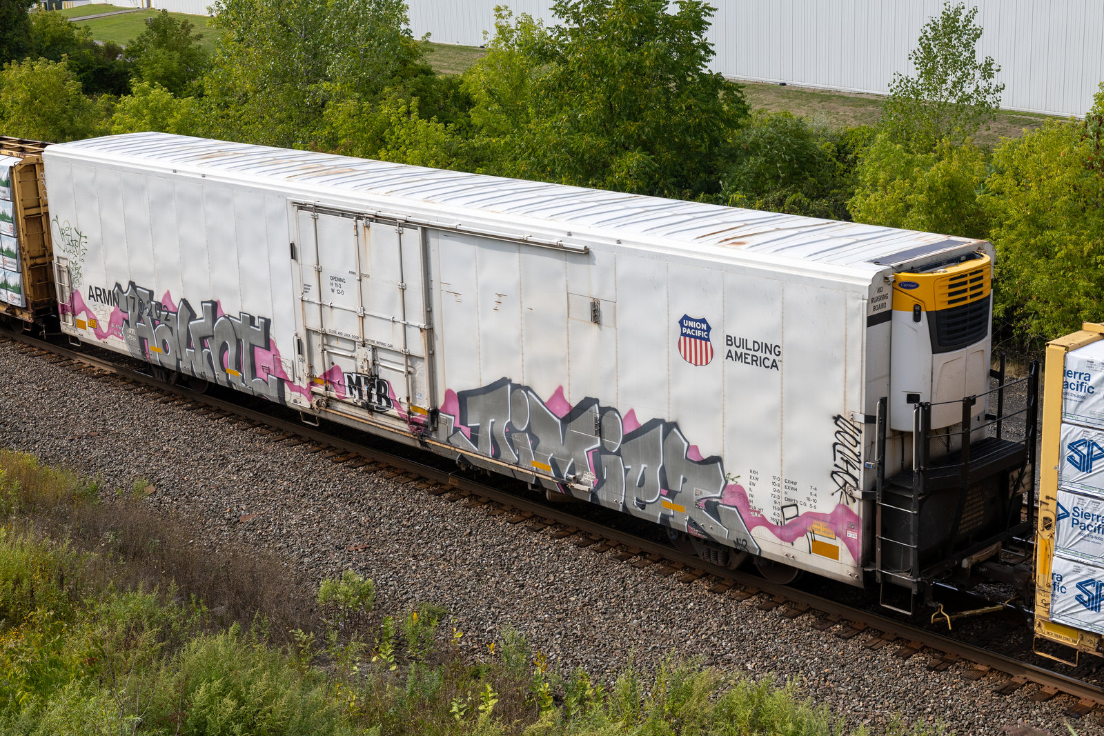 ARMN 170202