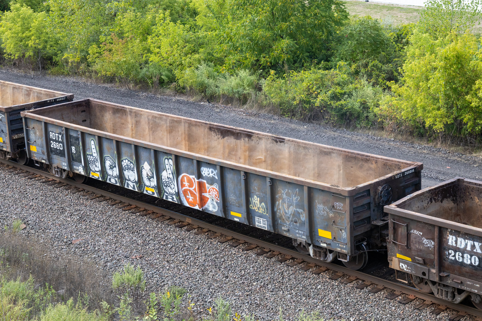 RDTX 268016