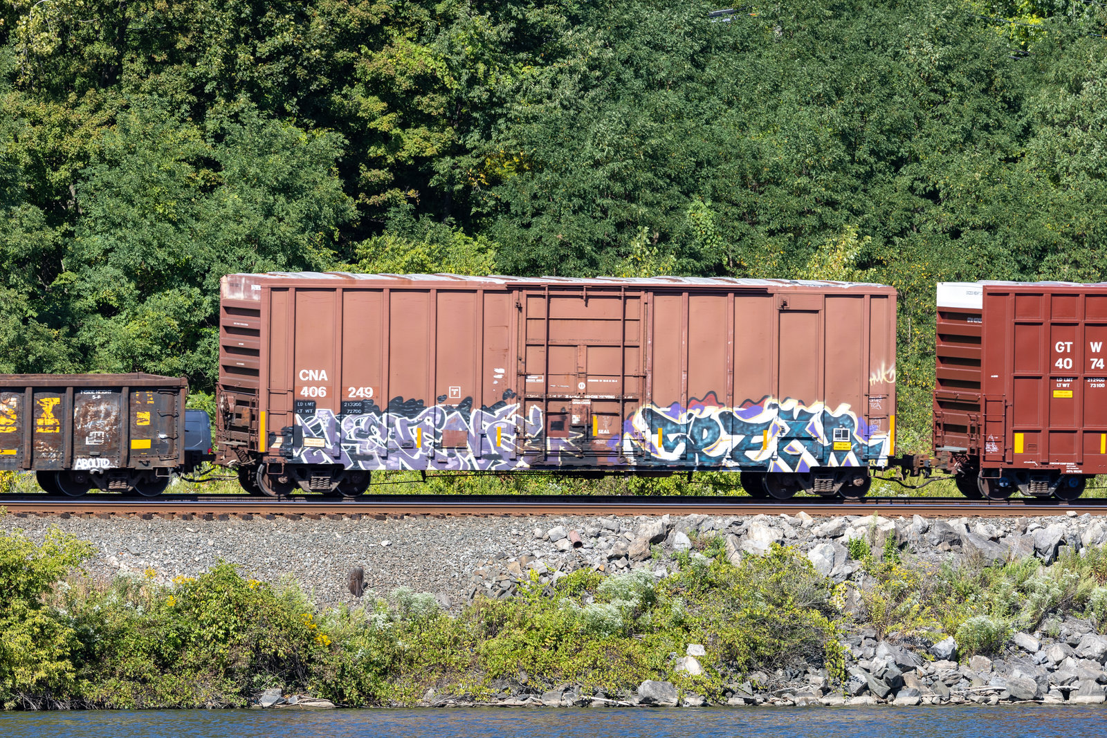 CNA 406249