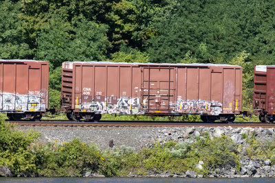 CNA 406212