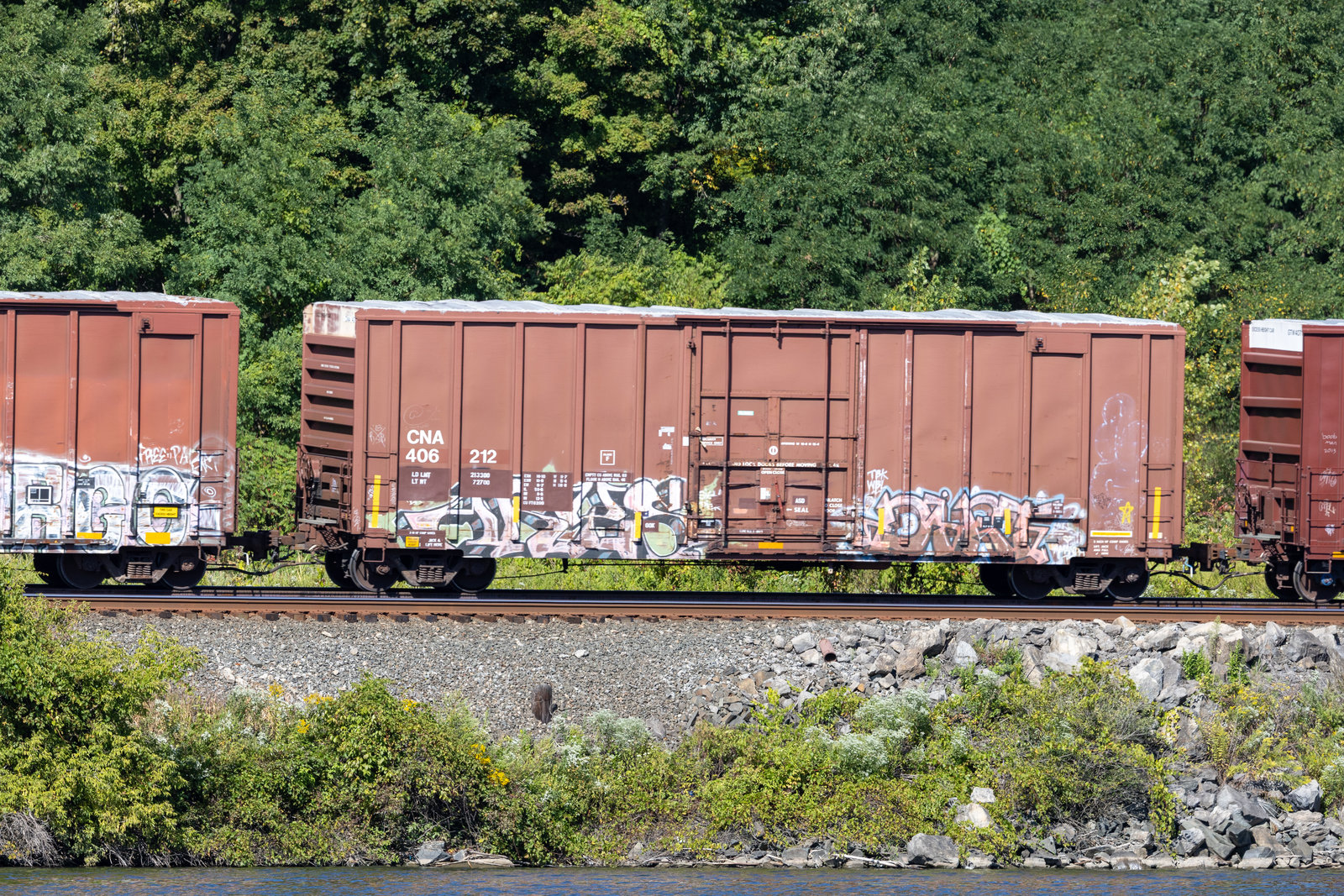 CNA 406212