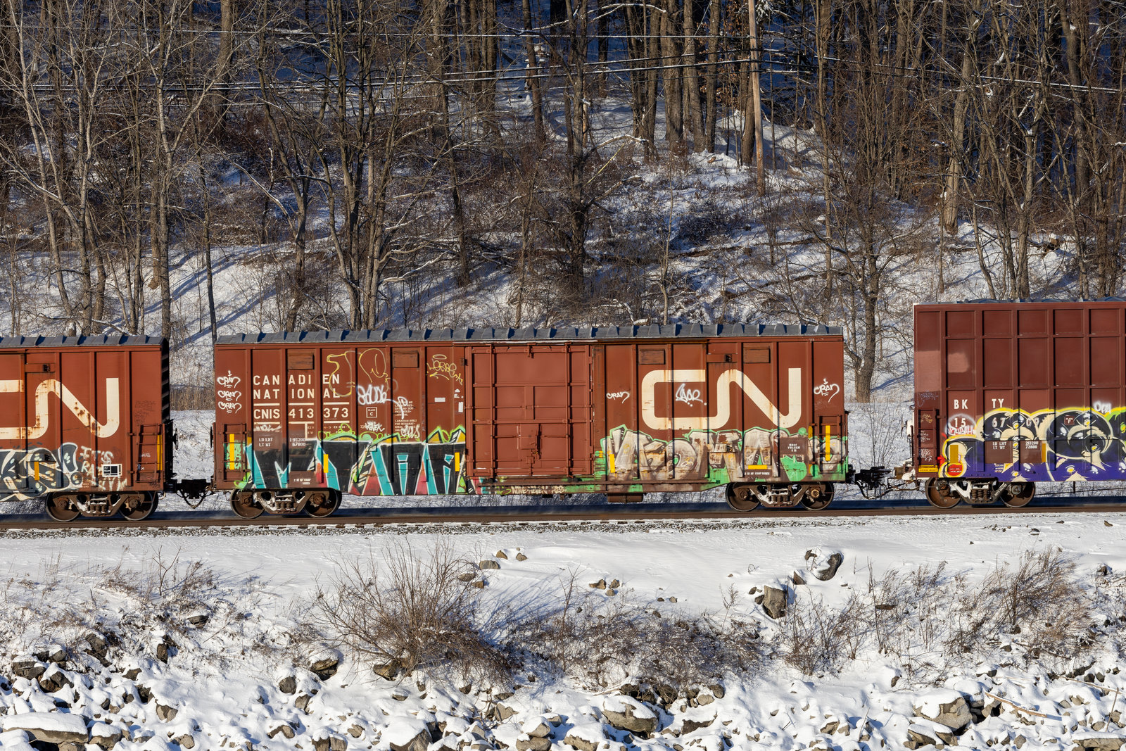 CNIS 413373